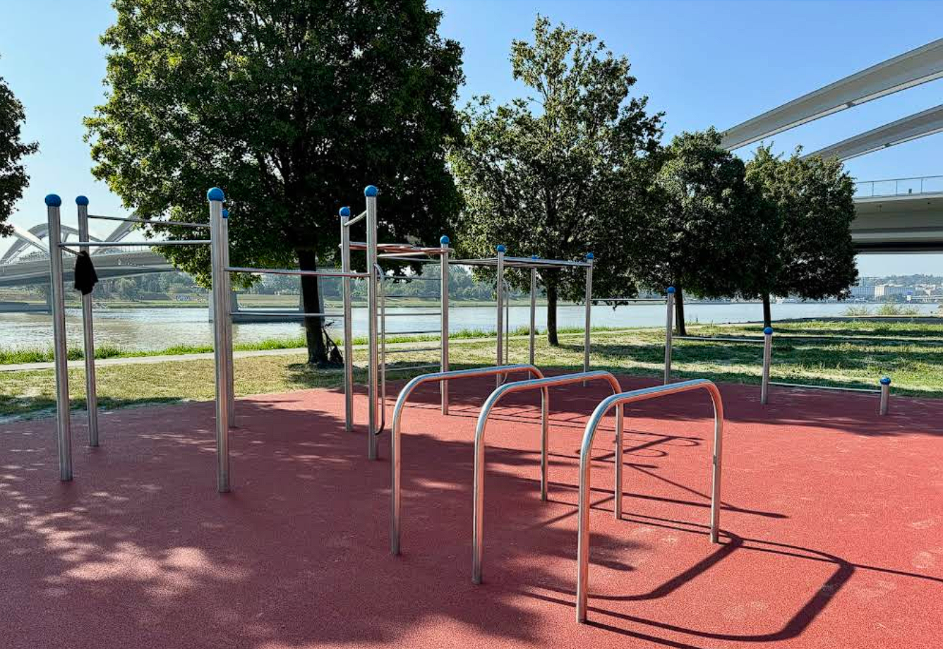 Calisthenics Workout